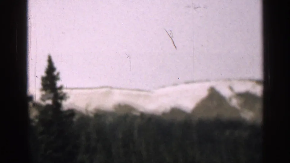 Colorado mountain view with a lone pine foreground and snow-dusted ridgeline in faded 1963 8mm color.