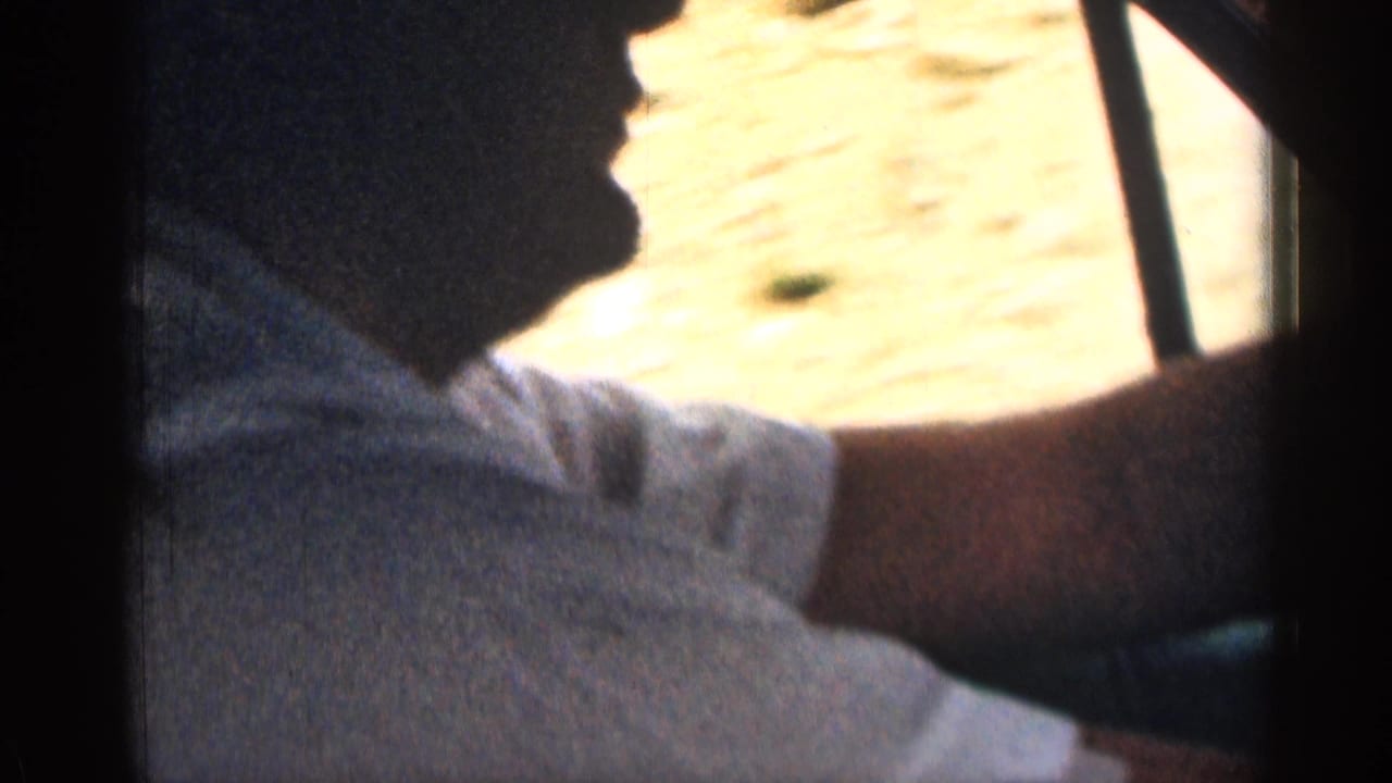 Driver in profile inside a moving car, with bright roadside visible through the window.