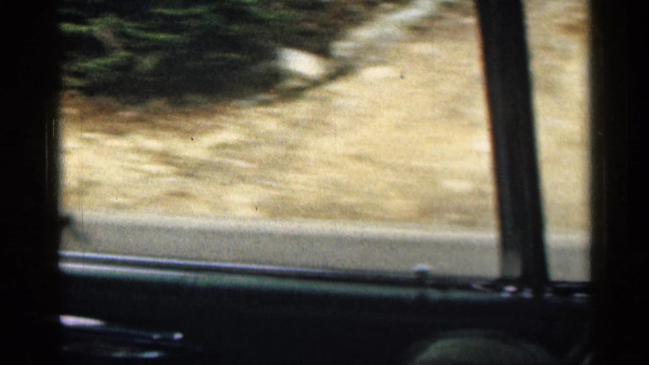 Blurred roadside and trees seen through a car side window from the back seat.
