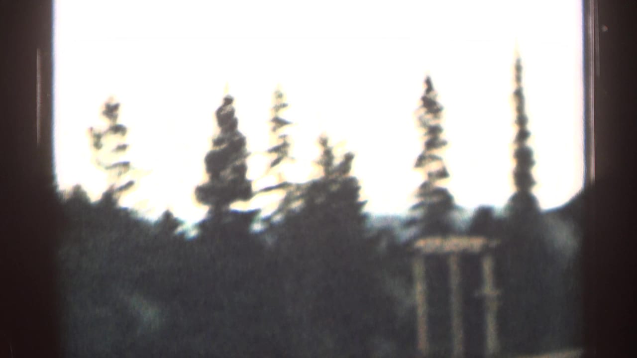 Soft 1960s Colorado travel frame with tall pines silhouetted against a pale sky and a partial roadside structure at right.