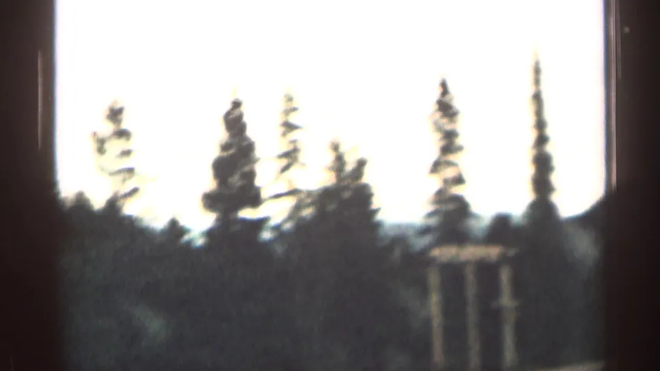 Soft 1960s Colorado travel frame with tall pines silhouetted against a pale sky and a partial roadside structure at right.