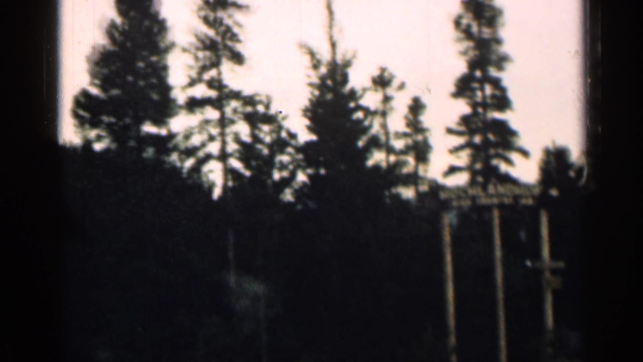 Dim Colorado forest view on 8mm film, with tall trees and a small sign or post partly visible near the roadside.
