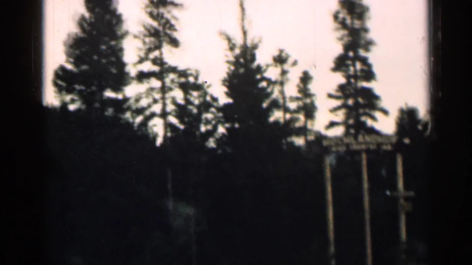 Dim Colorado forest view on 8mm film, with tall trees and a small sign or post partly visible near the roadside.