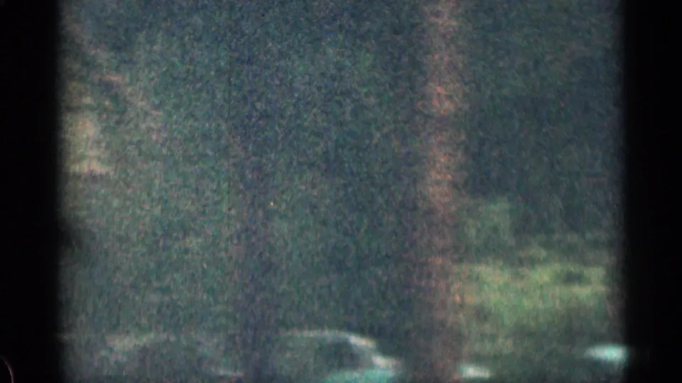 Soft 8mm road-trip frame in Colorado with trees, roadside greenery, and a light-colored station wagon partly visible.