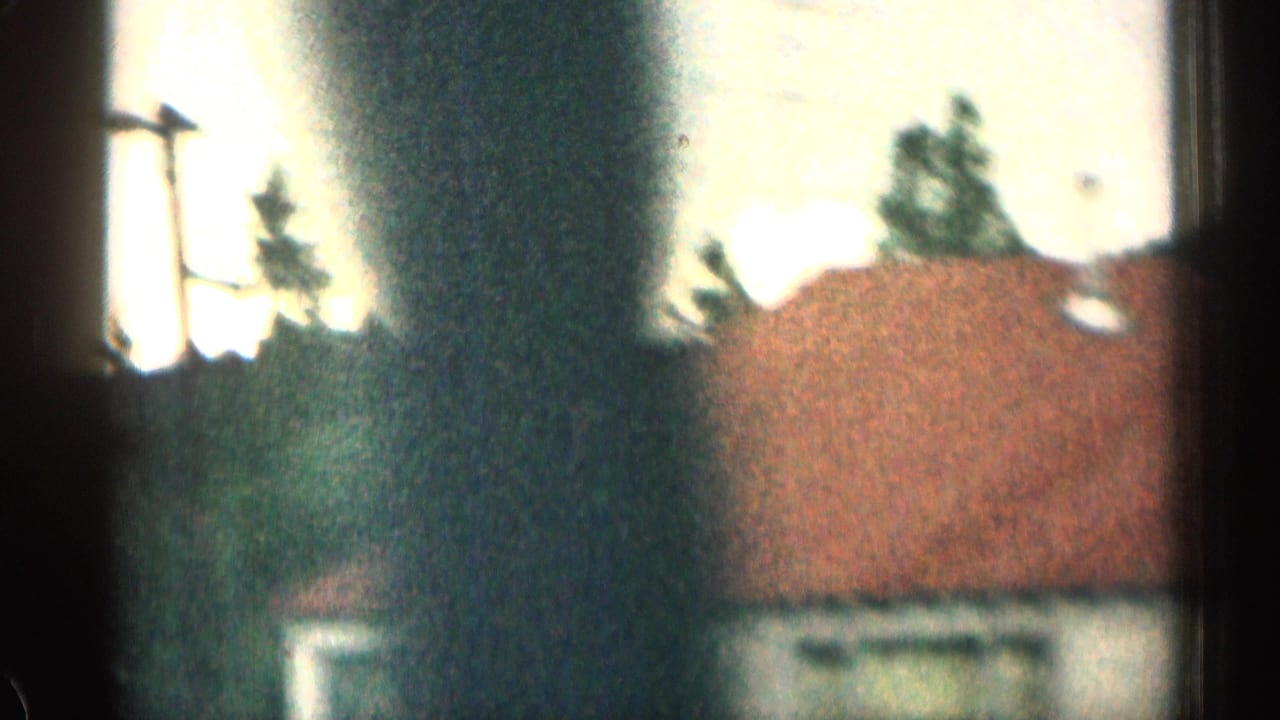 Trees, utility pole and red-roofed building seen through soft focus.