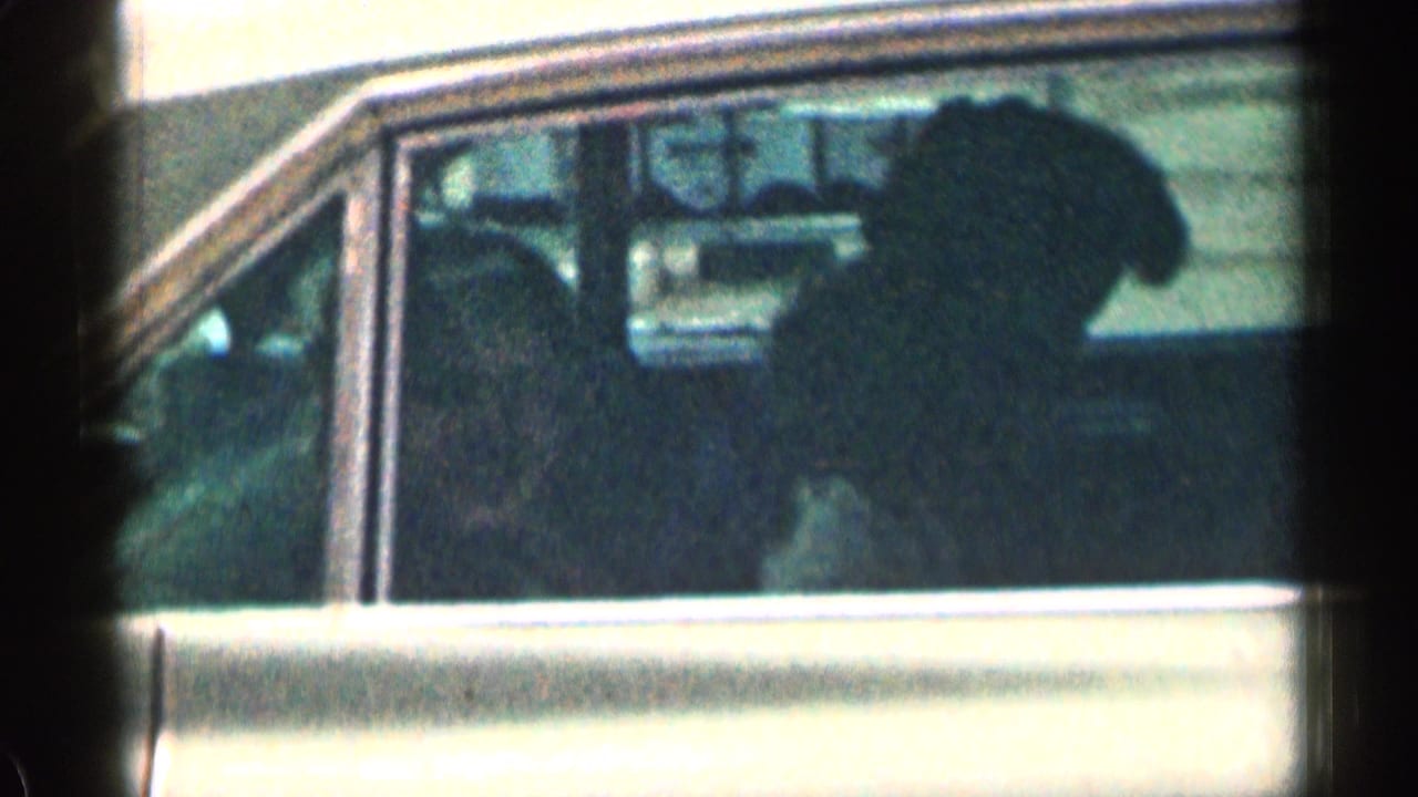 Passenger silhouette visible through a car side window beside chrome trim and a pale body panel.