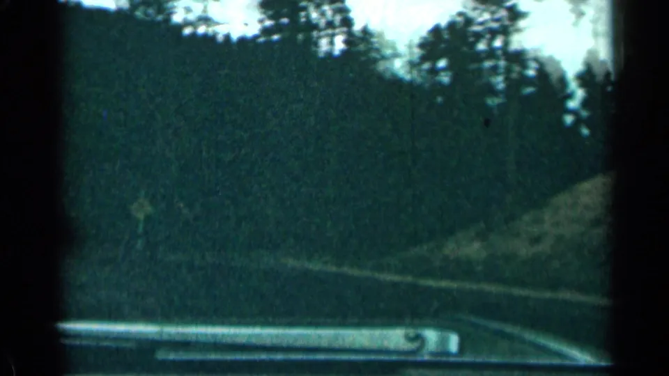 A dim Colorado mountain road passes through dense trees, filmed from a car after the highway sign shot.