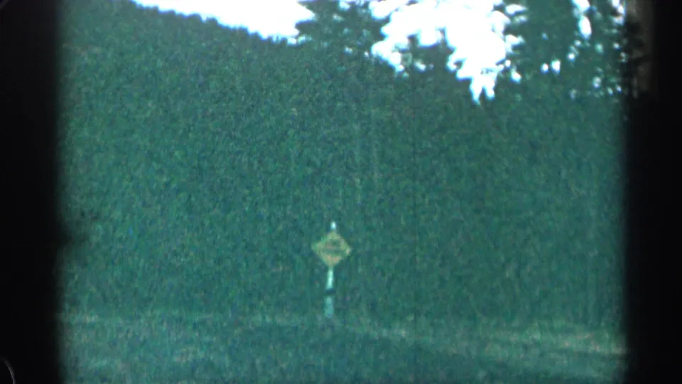 A small roadside warning sign stands beside a dark, tree-lined Colorado road in the final home-movie frame.