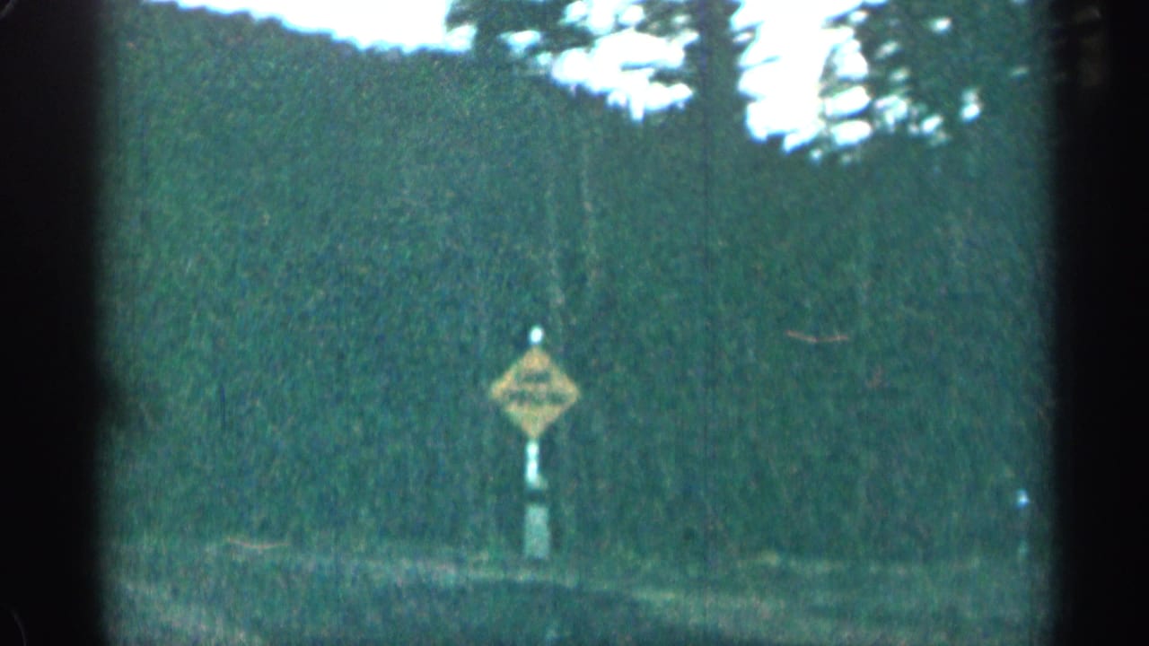 Yellow diamond road sign beside a wooded road, seen through a moving car window.