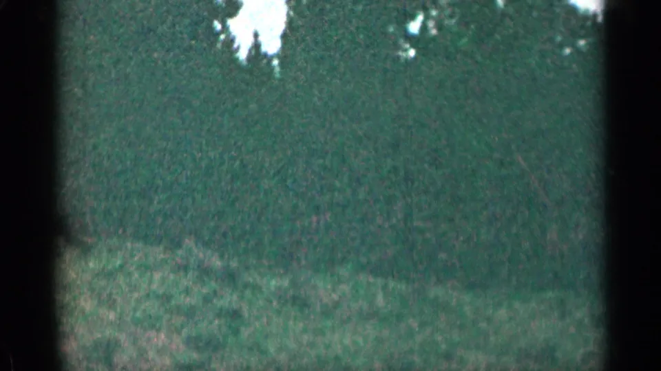 End frame of 1963 Colorado passenger-shot road footage, with dark window framing, green trees, roadside grass, and visible 8mm grain.
