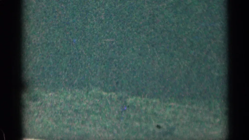 Soft, green-tinted 1963 Colorado home-movie frame showing trees and roadside brush with dark film borders.