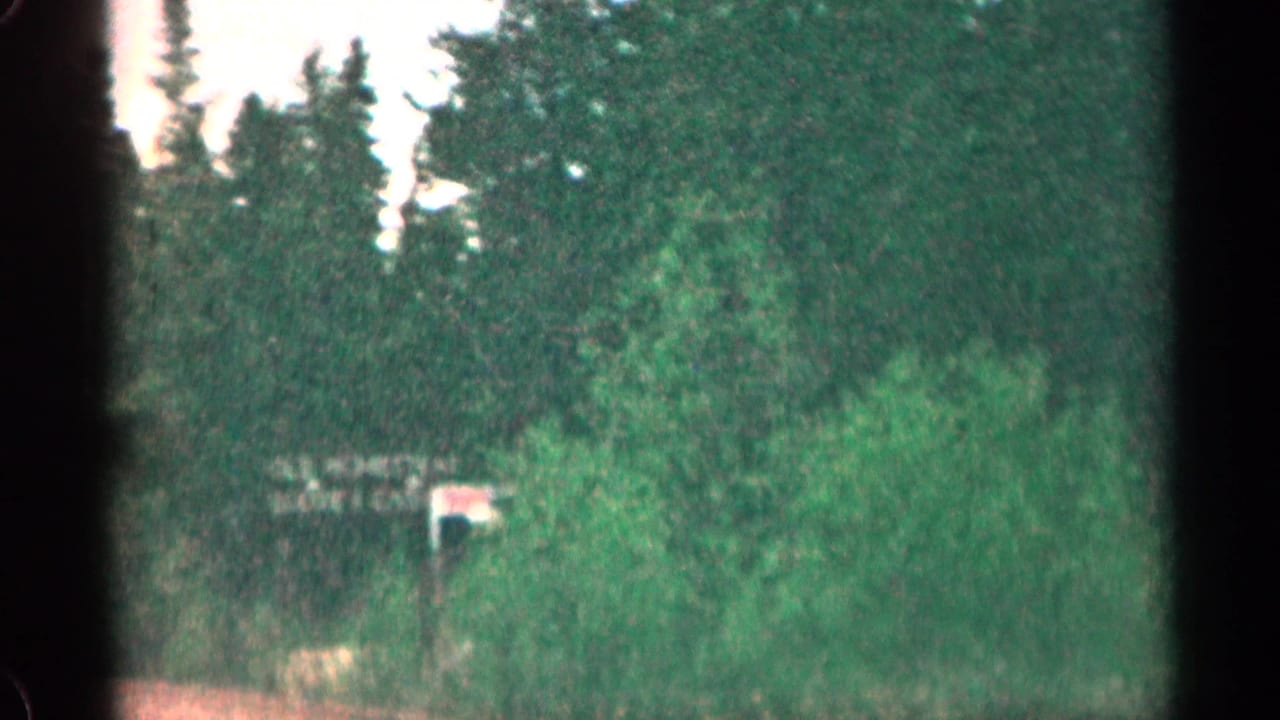 1963 Colorado 8mm frame with trees, dense brush, and a partially visible roadside sign beyond the film gate edge.