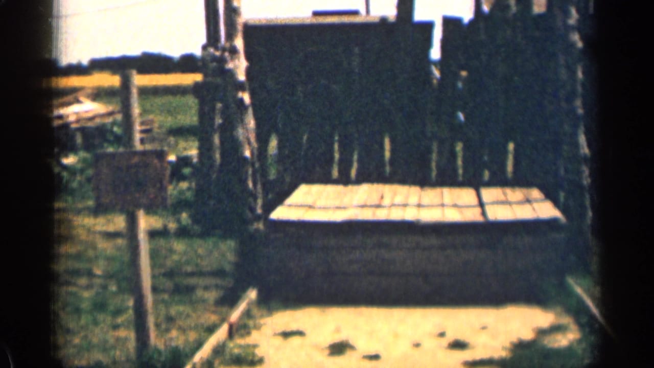 Rough wooden platform or box beside fencing in a grassy outdoor yard.