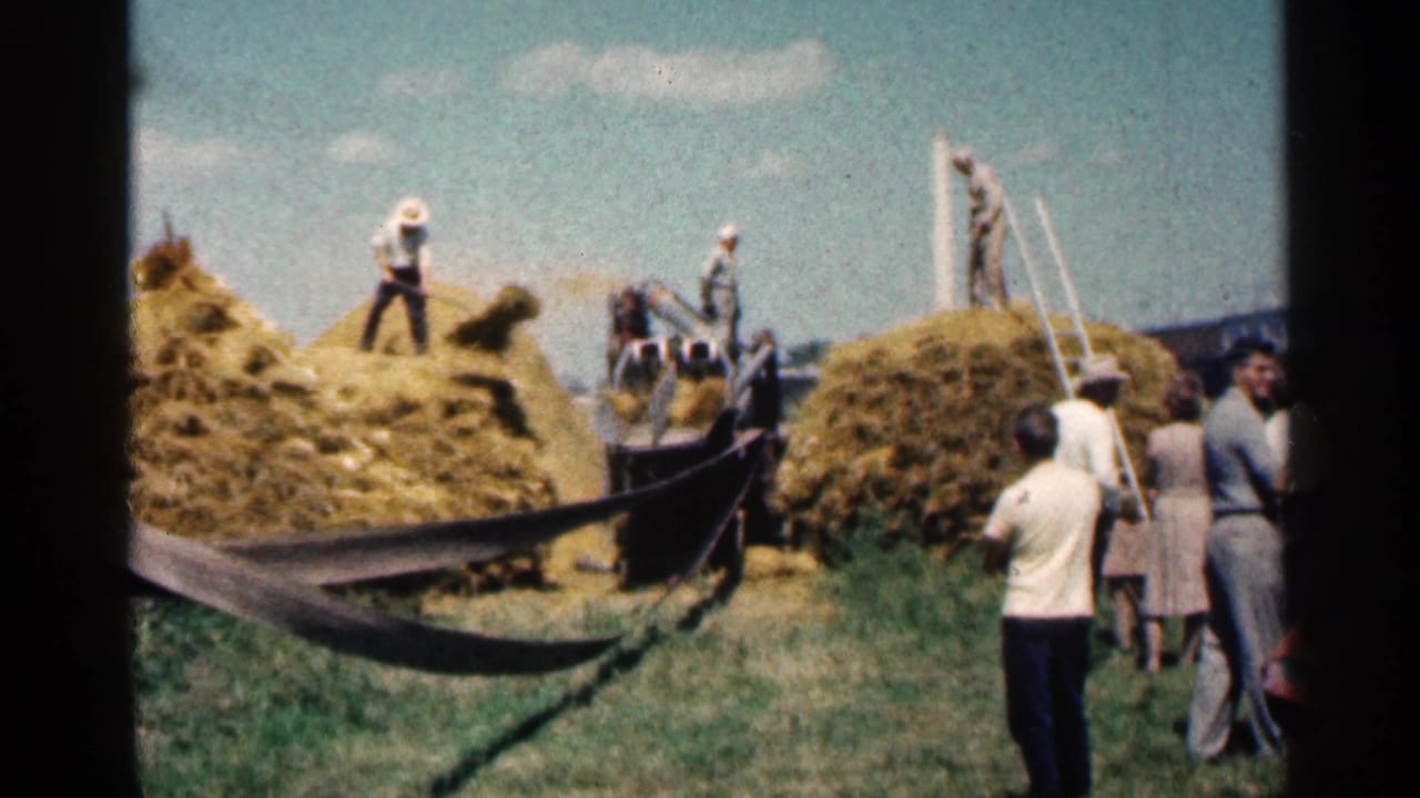 Workers and spectators near hay piles and farm equipment in an outdoor field.