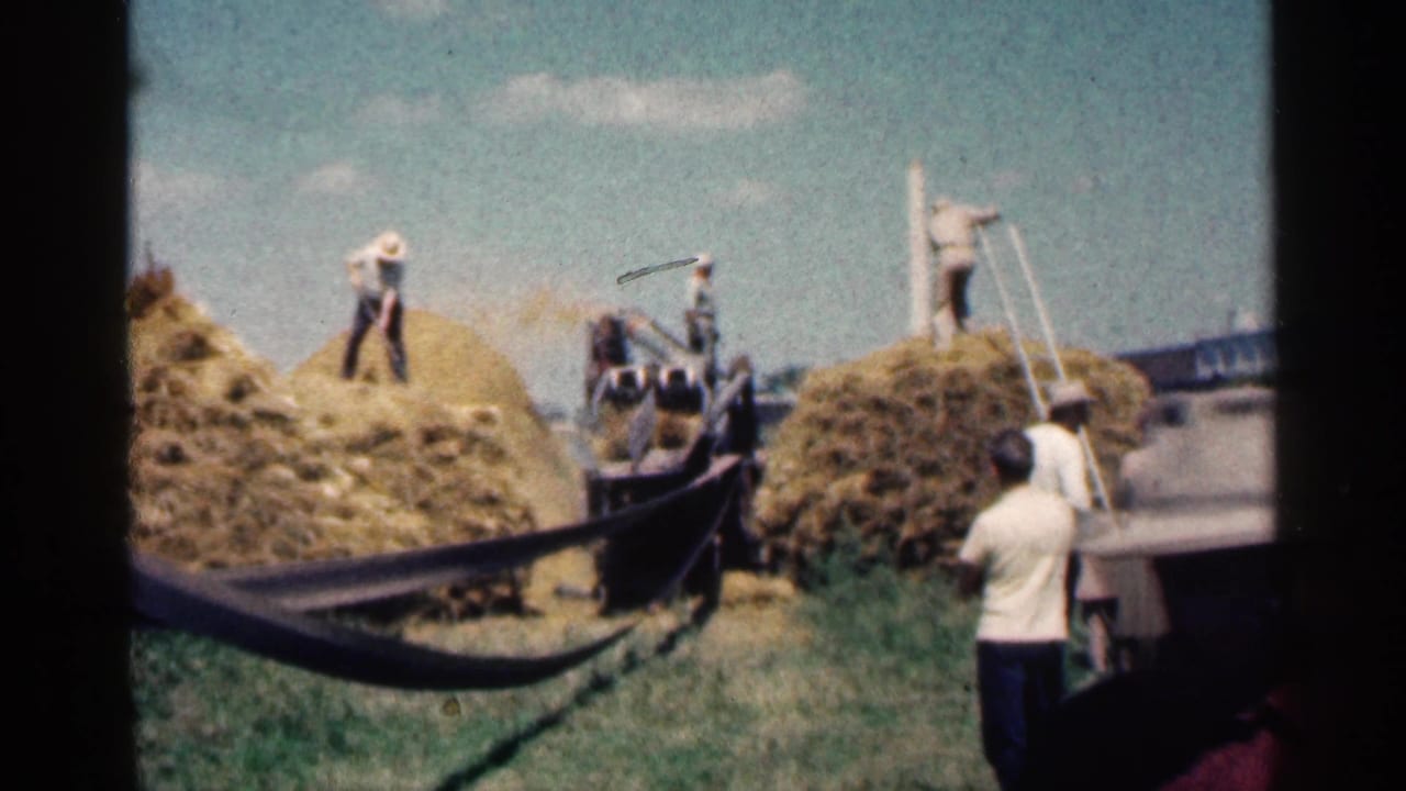 Hay piles, workers, spectators, and a loading rig in a sunny rural field.
