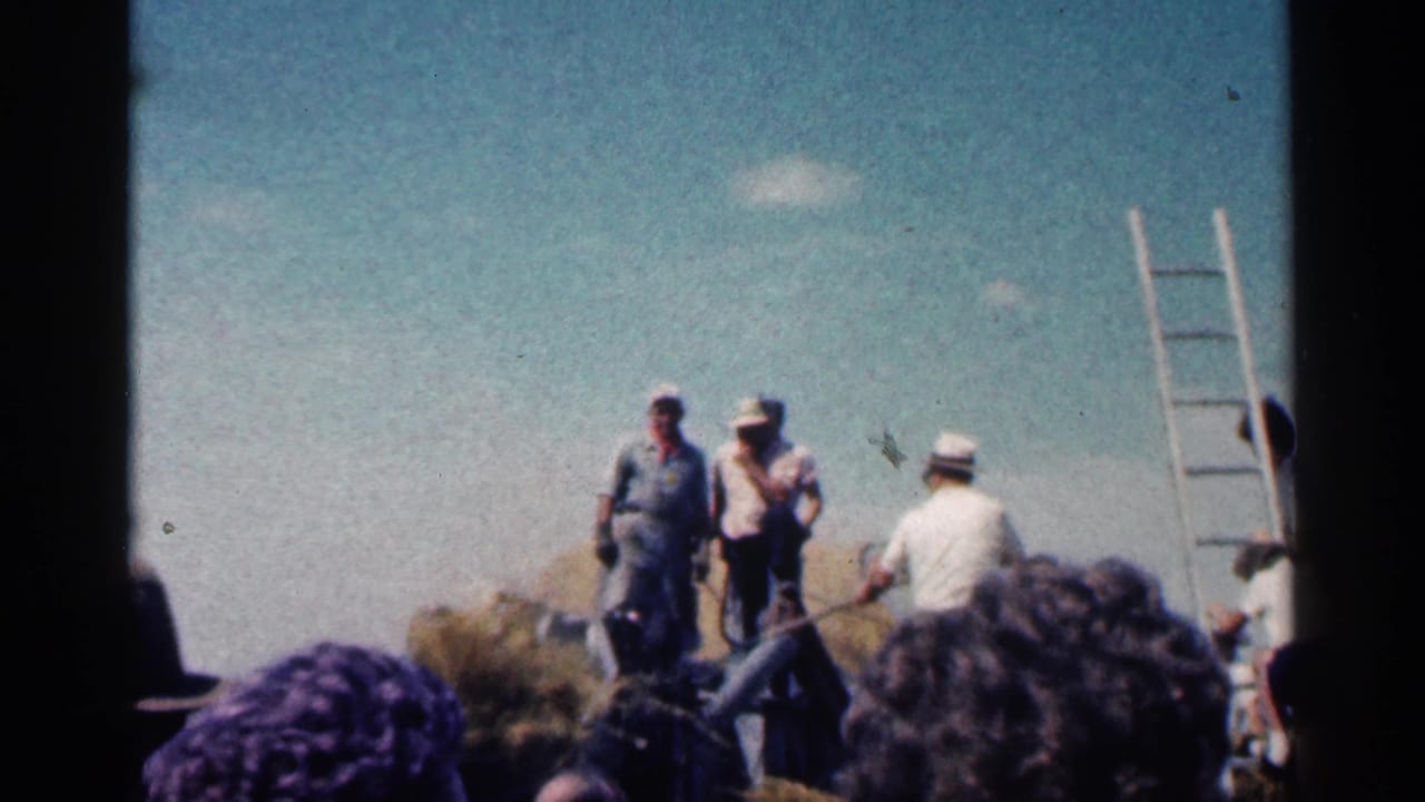 Workers stand near a ladder and crop material while spectators appear in the foreground.
