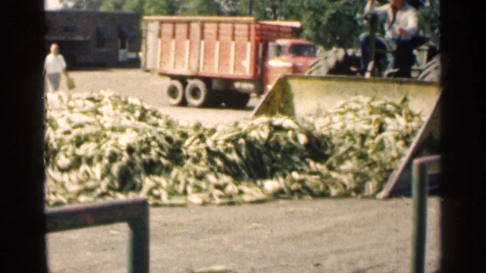 Montgomery, Minnesota 1963 frame showing a red truck, a broad pile of corn cobs, and a person walking through an outdoor work area.