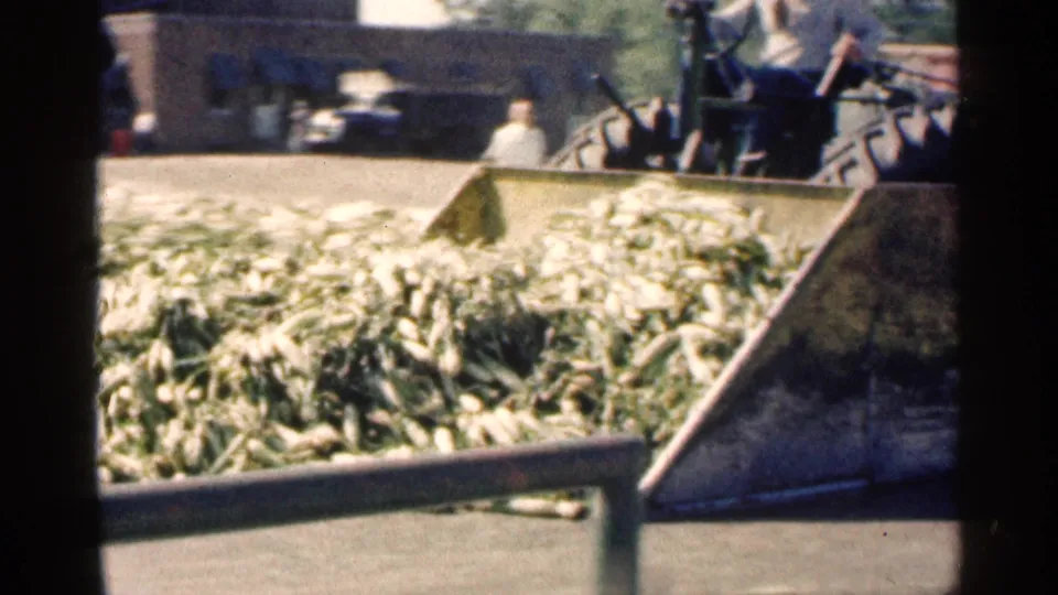 1963 Montgomery home-movie frame with a loader bucket beside a corn cob pile, workers above, and vehicles in the background.