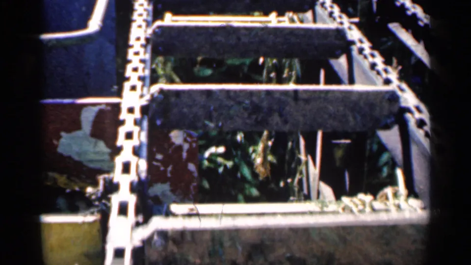 1963 agricultural processing footage showing a chain-driven conveyor carrying corn through dark metal crossbars.