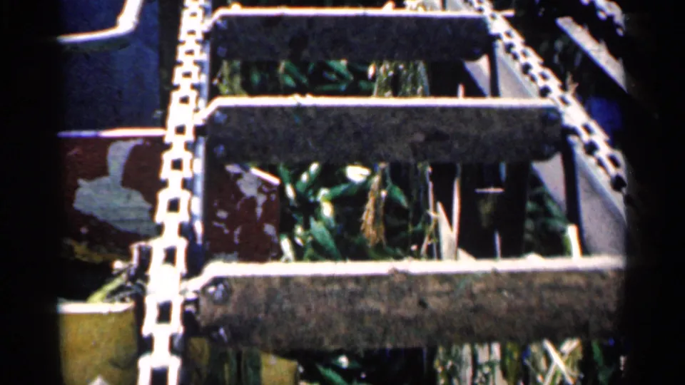 Close detail of corn moving through chain rails and metal conveyor parts in 1963 Montgomery, Minnesota footage.