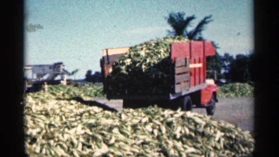 1963 Montgomery, Minnesota frame showing a red truck carrying a high load of corn cobs beside scattered harvest piles.