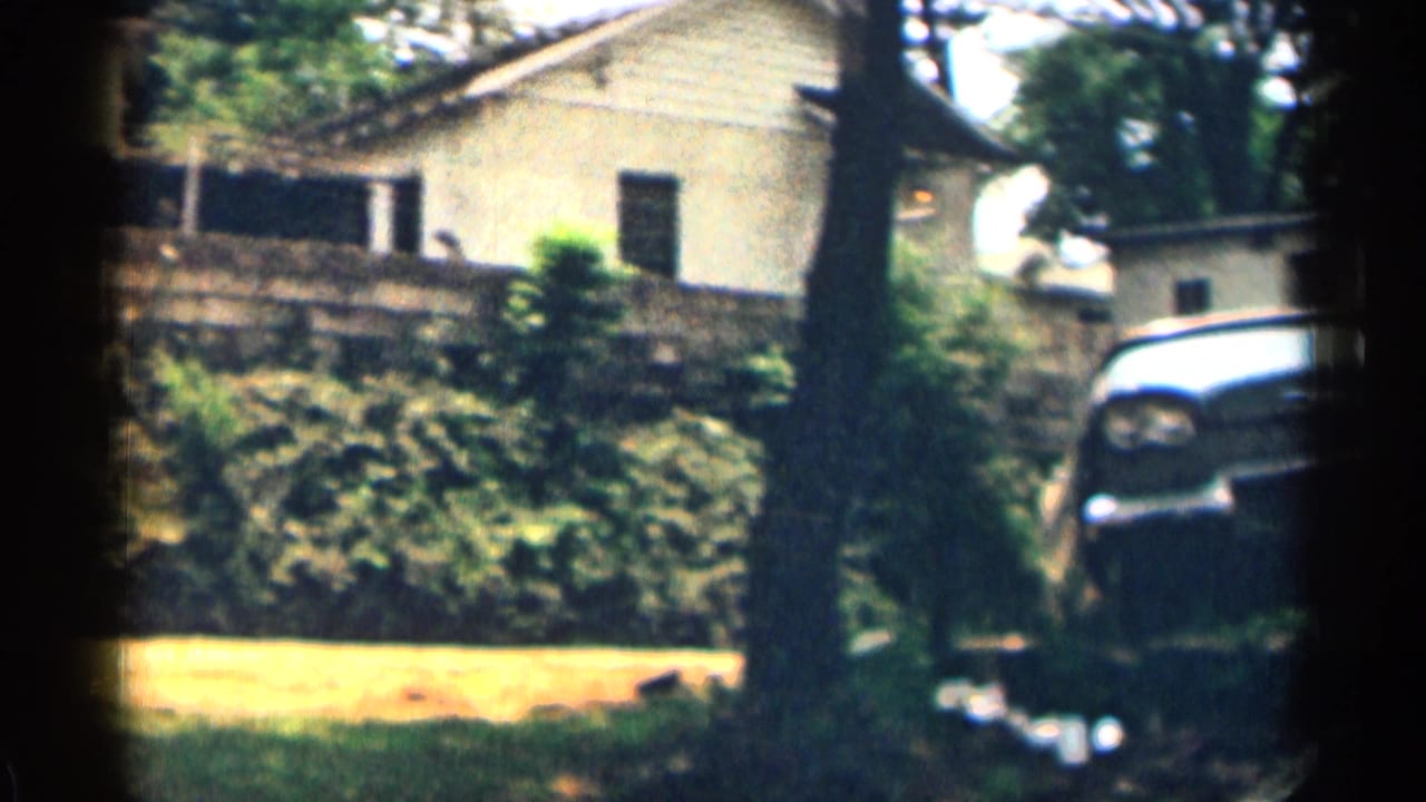 White suburban house above a stone wall with dark sedan partly visible among trees.