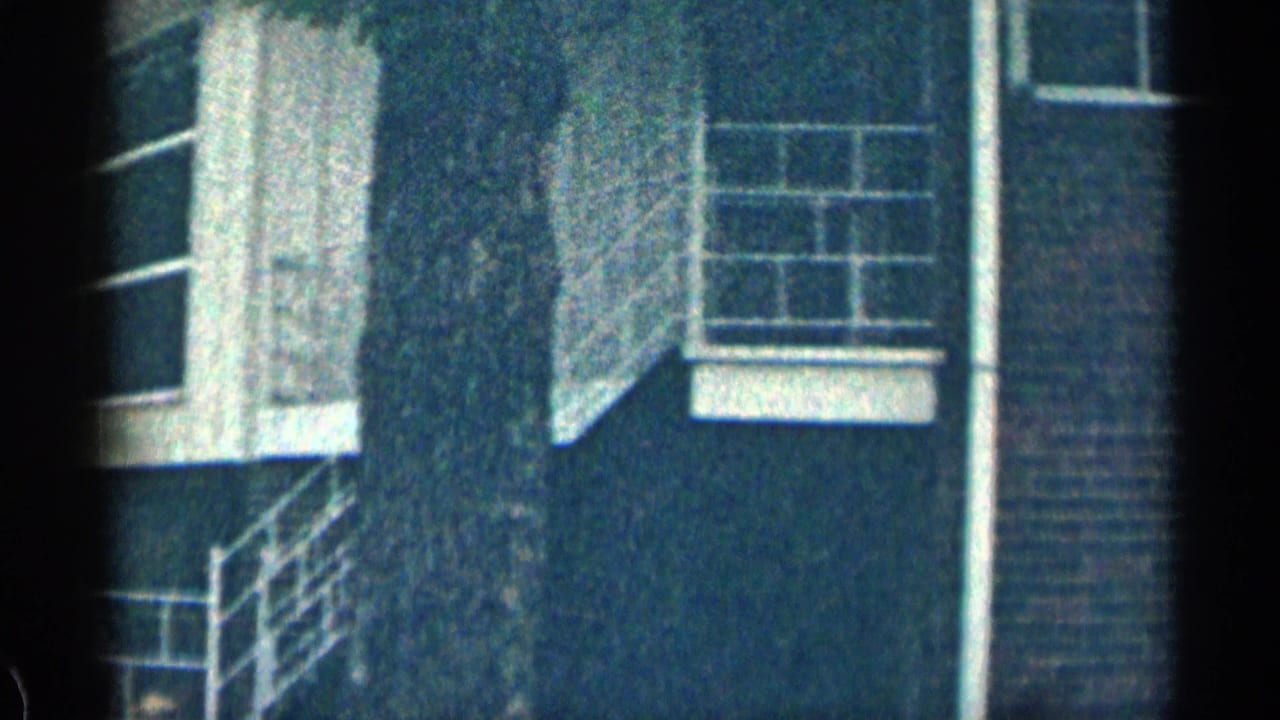 Brick building corner with white-framed windows, steps, railing, and a tree trunk at the edge.