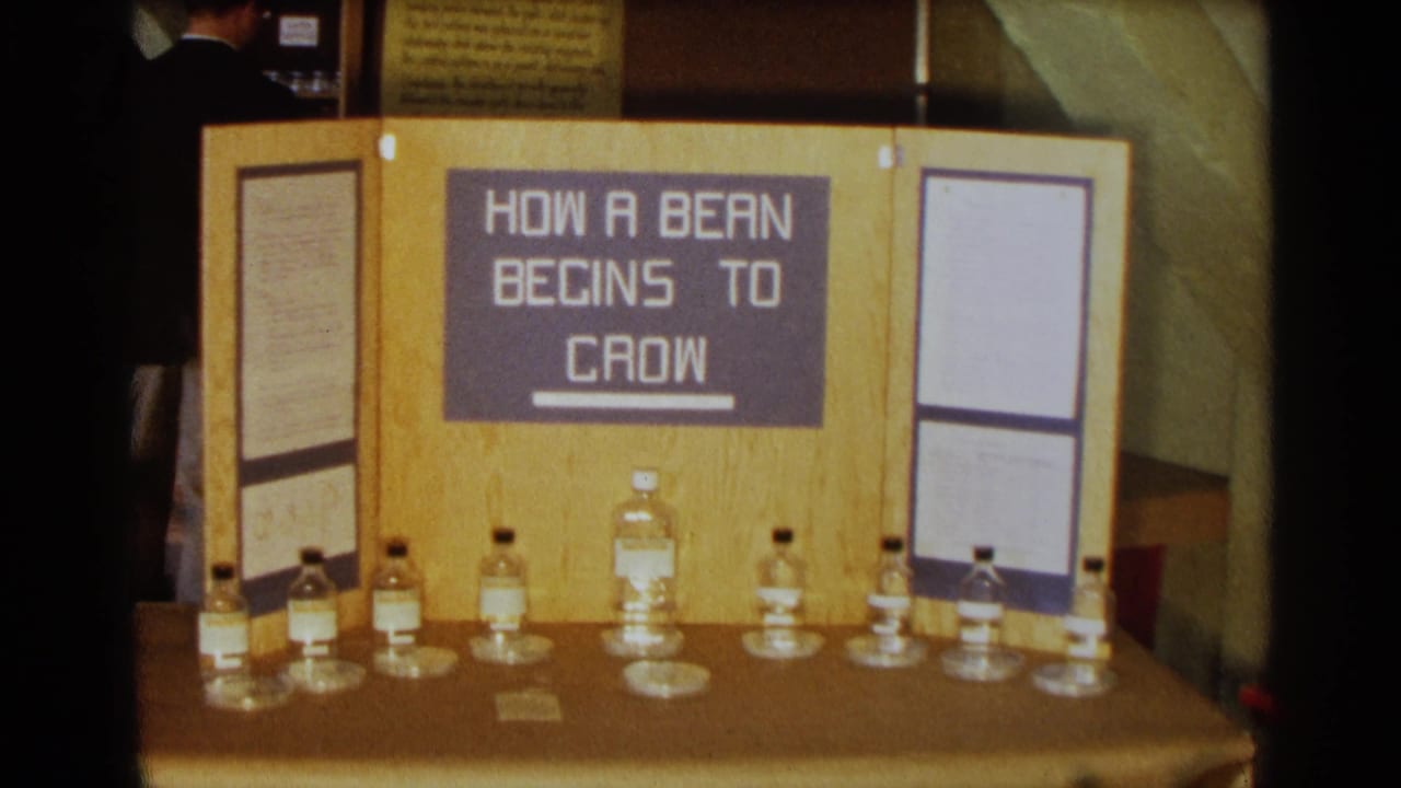 1963 Texas 8mm frame showing a hand-lettered bean-growth science project display with glass bottles, petri dishes, notes, and a partial person behind it.
