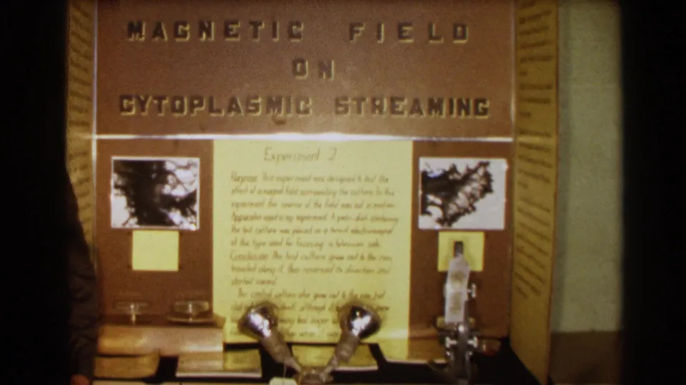 1963 Texas 8mm frame showing a student science fair display about magnetic field effects on cytoplasmic streaming, with handwritten notes, microscope photographs, petri dishes, and tabletop equipment.