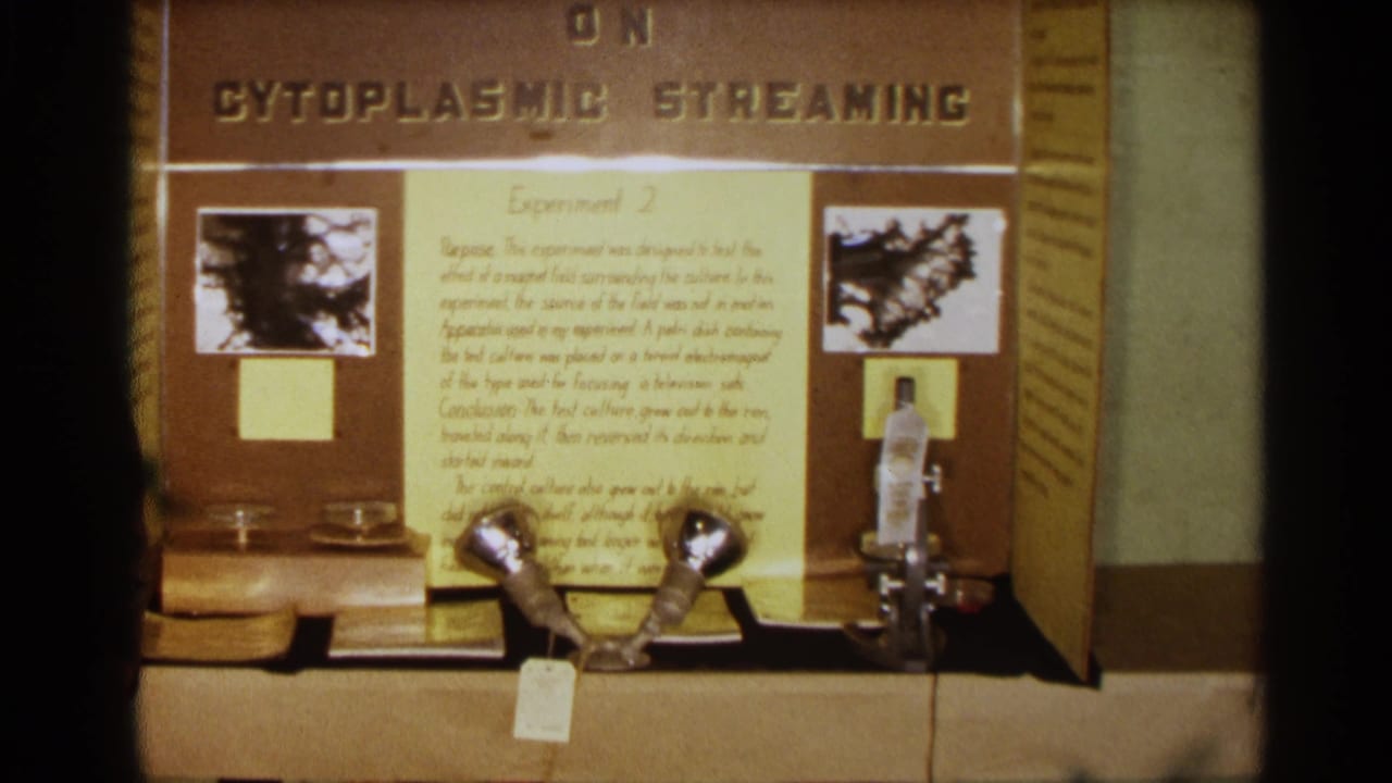 Closer view of the science fair board with experiment text, photographs, petri dishes, and a lab instrument at right.