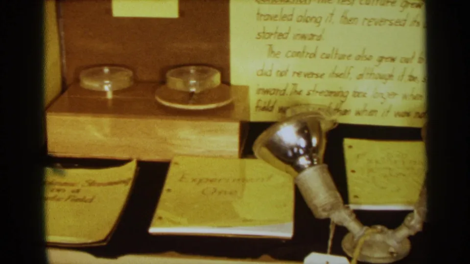 Close 8mm view of the lower science fair display in Texas in 1963, with handwritten conclusion text above petri dishes, two metal lamp heads, a paper notebook or label, and a diagram sheet.