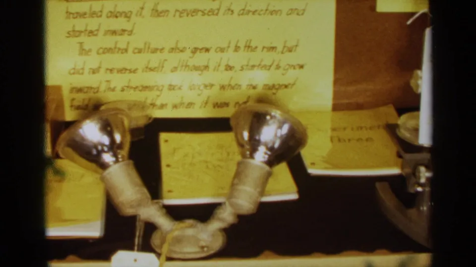 1963 Texas science fair display with handwritten study notes, two light bulbs, and a microscope on an exhibit table.