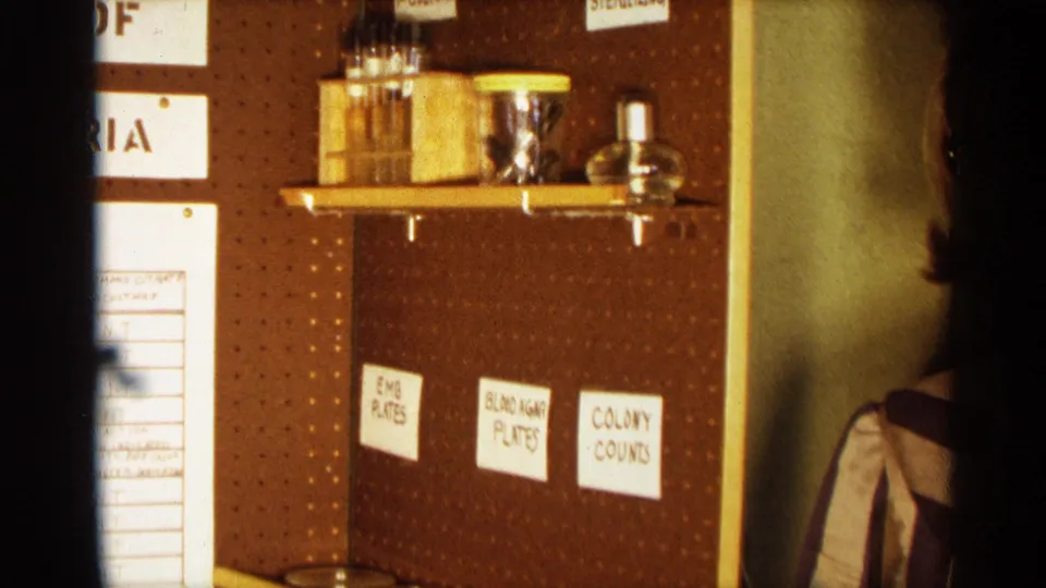 1963 Texas 8mm frame showing a pegboard science display with labeled sections, jars, and a partially visible person near the right edge.