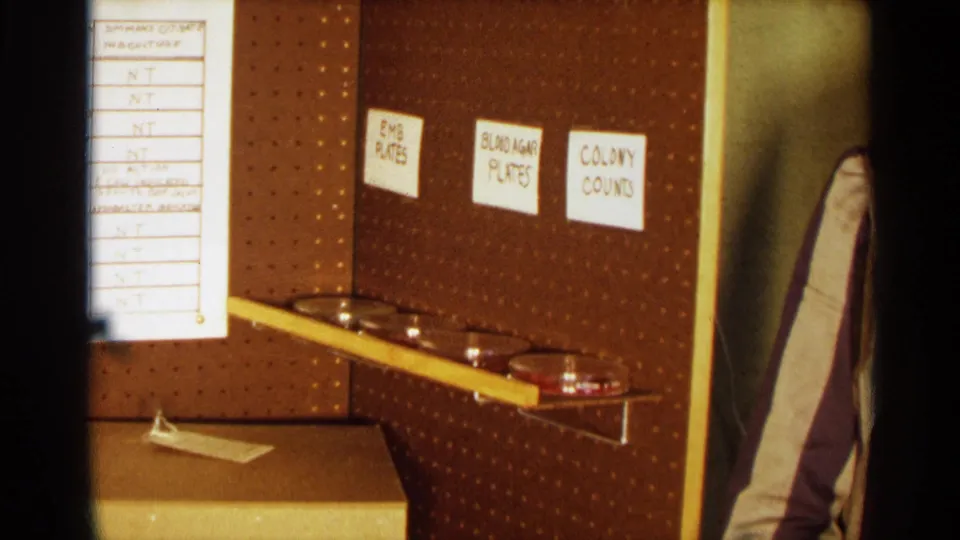 1963 Texas science fair display with labeled petri dish sections and part of a suited person visible beside the board.