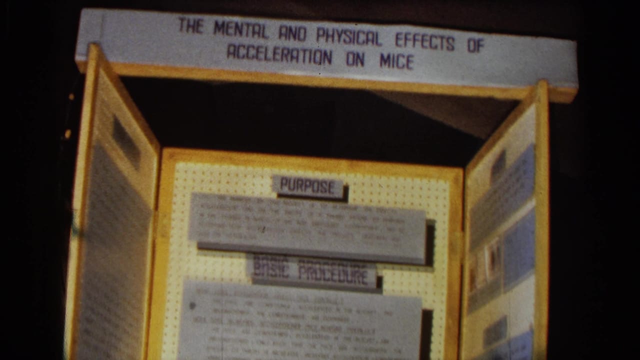 Science exhibit display headed with mental and physical effects of acceleration on mice.