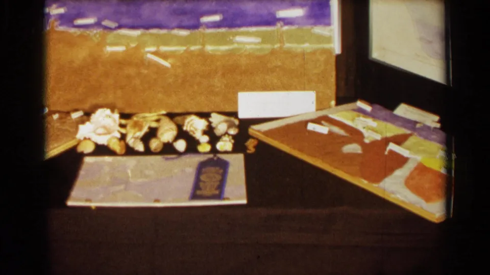 Close 1963 Texas 8mm view of the science fair table, showing shells, project labels, colored materials, and a blue ribbon award.