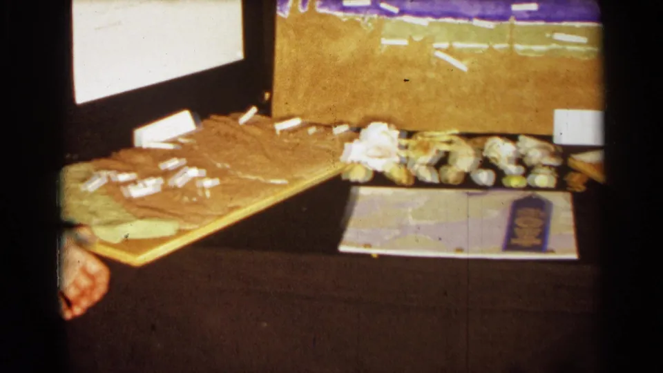 1963 Texas 8mm frame showing the ocean science fair table, shells, labels, papers, and a partial face at the lower left edge.