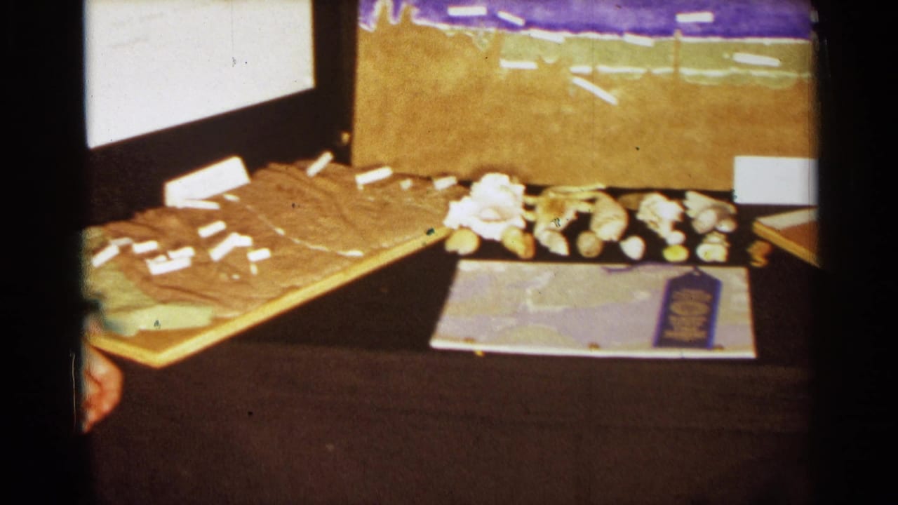 1963 Texas school science fair display with labeled specimens, shells, brown display backing, and a partial face at the left edge.
