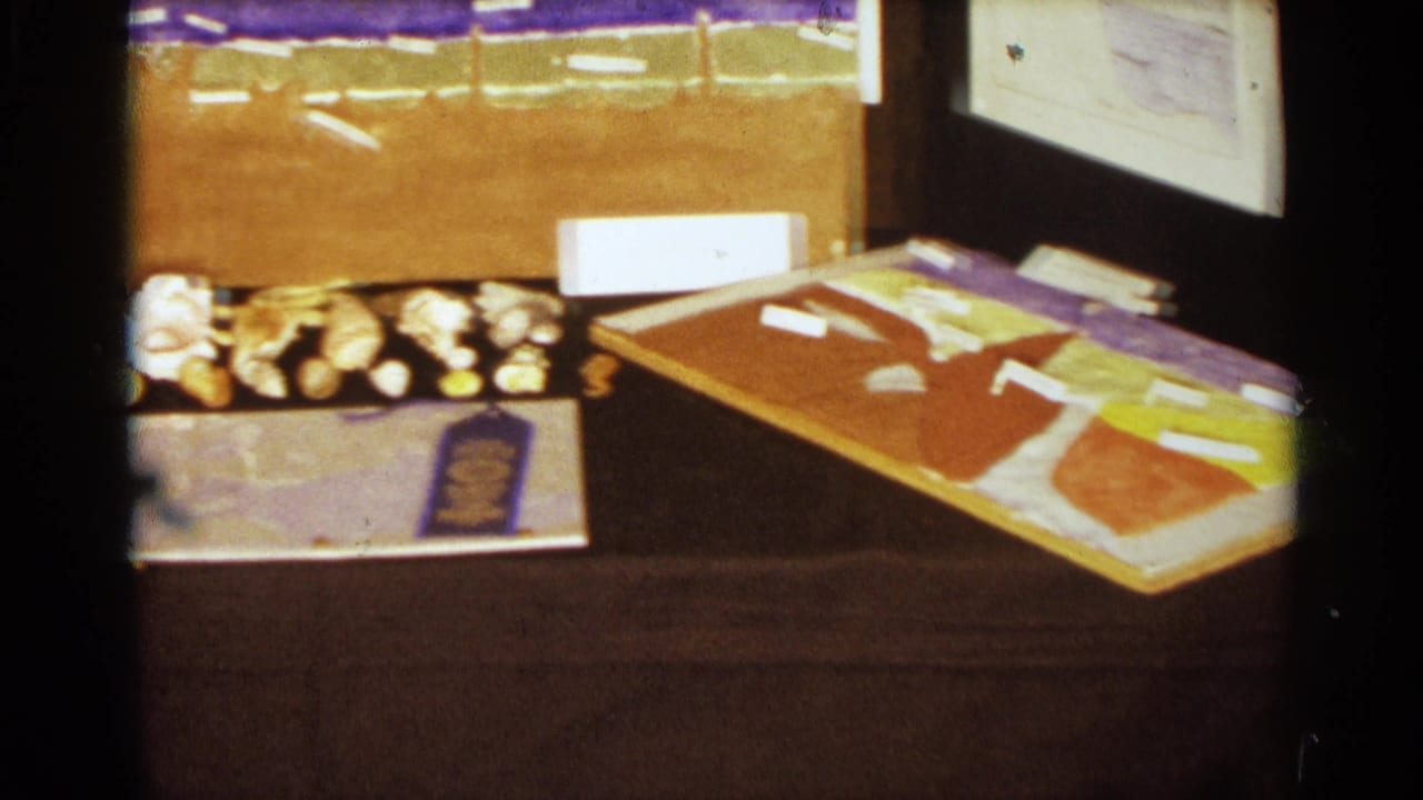Tabletop exhibit with rocks or shells, labels, display board, and a colored project panel.
