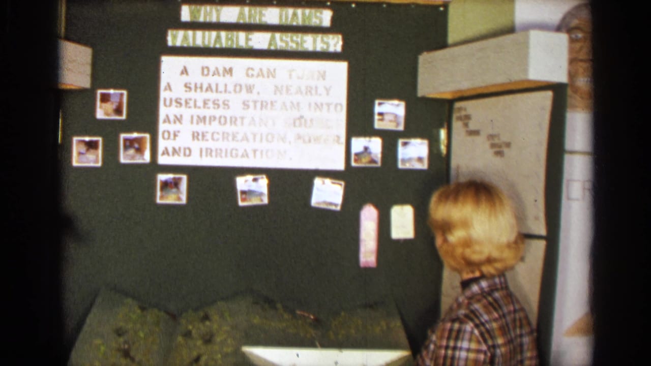 Girl in plaid stands beside a school display about dams on a green bulletin board.