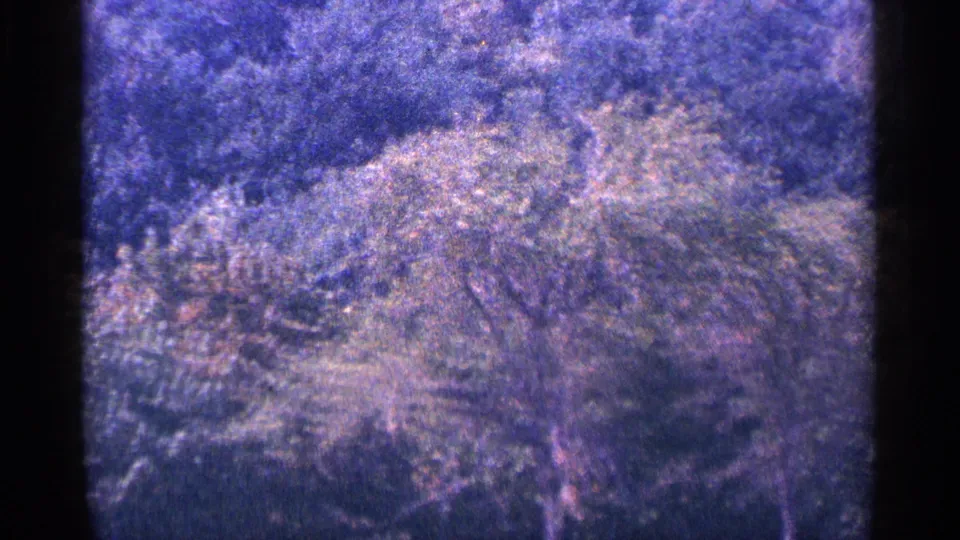 Purple-tinted 8mm frame showing a leafy landscape, likely filmed during the same 1964 sightseeing trip.