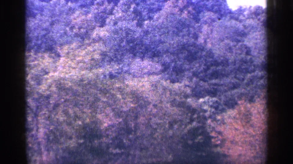 Archival 8mm scenic frame of wooded terrain and vegetation, continuing the travel-view cutaway.