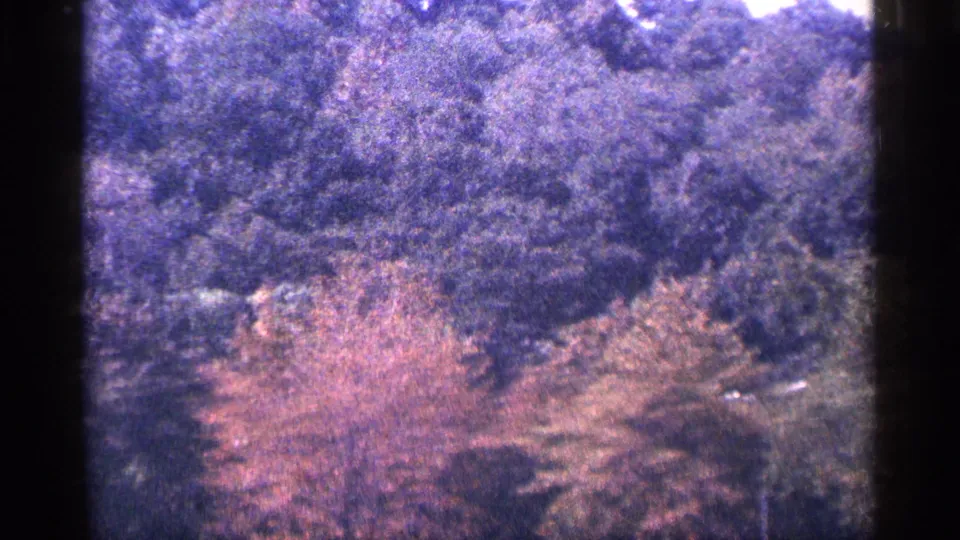 A soft 8mm view of trees on a hillside in the New York City clip, with dark frame edges and visible film grain.