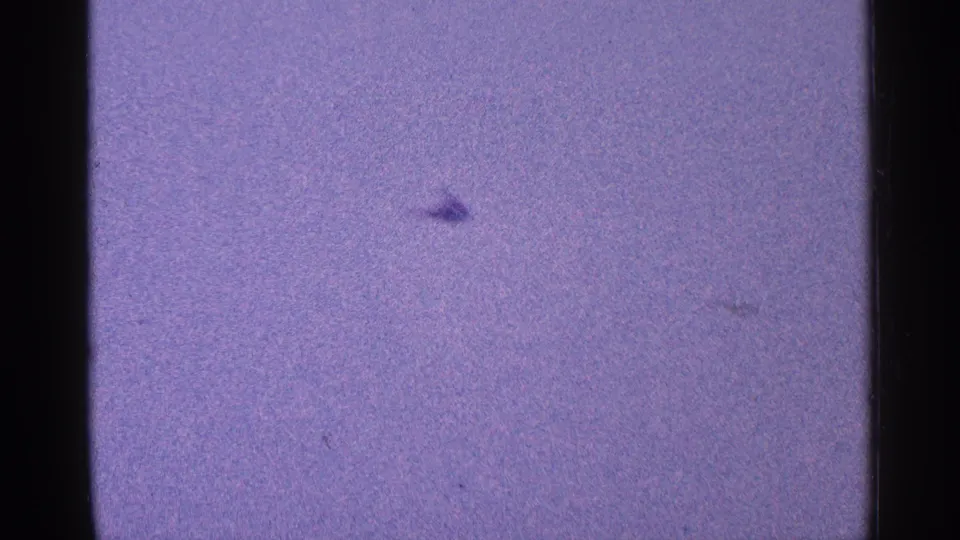 Small aircraft appears in the grainy blue-purple sky during the 1964 New York harbor shot.