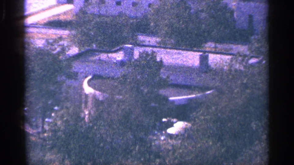 1964 New York City clip frame showing a blurry outdoor park-like view with trees, grass, and a curved low structure.