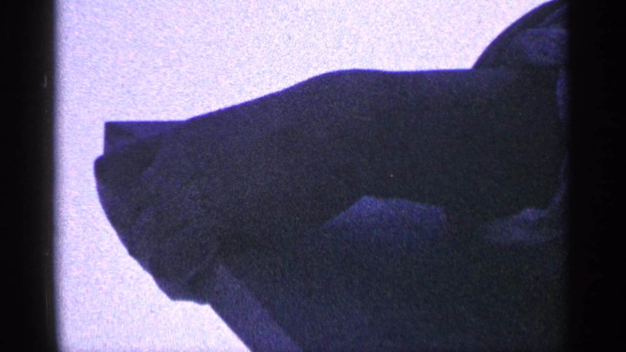 Dark, soft-focused close view of a man in shadow against a purple-tinted film background.