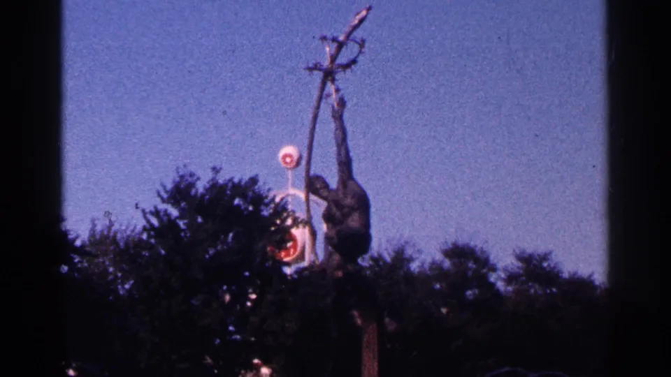 1964 New York City 8mm frame showing a dark primate-like statue reaching upward above trees, with a round red-and-white sign behind it.