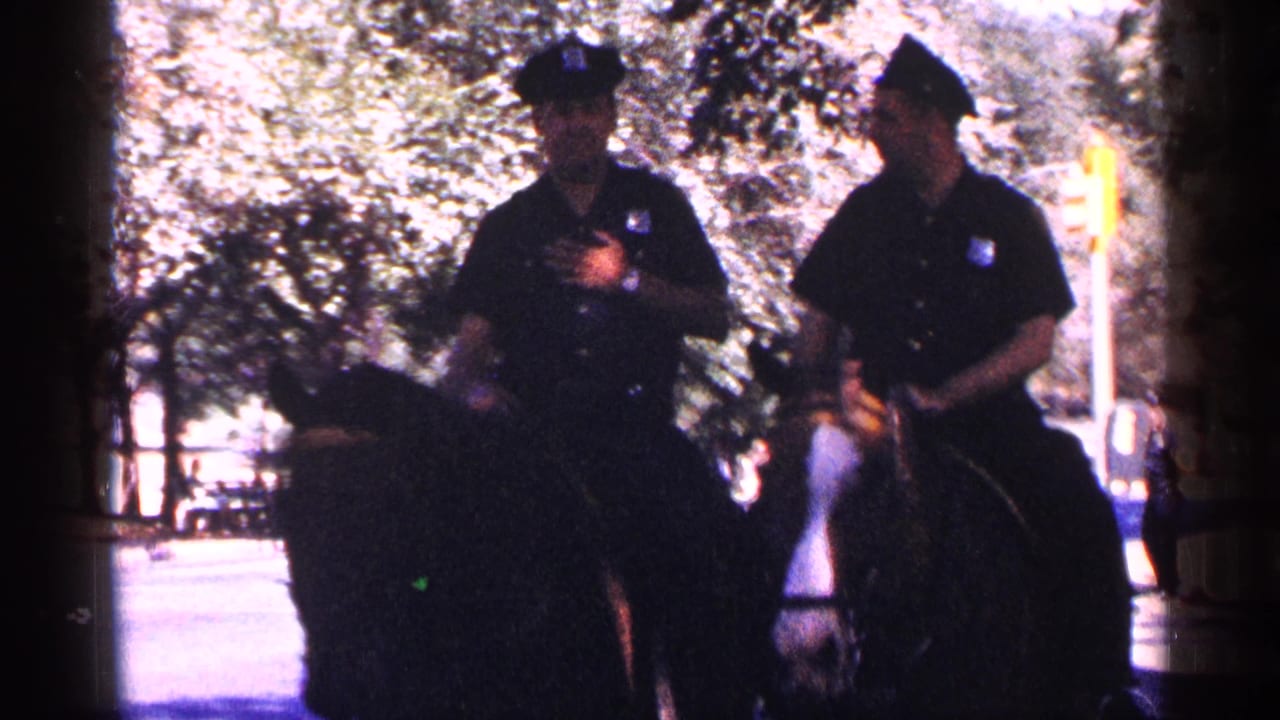 Two mounted police officers ride in a tree-lined public space.