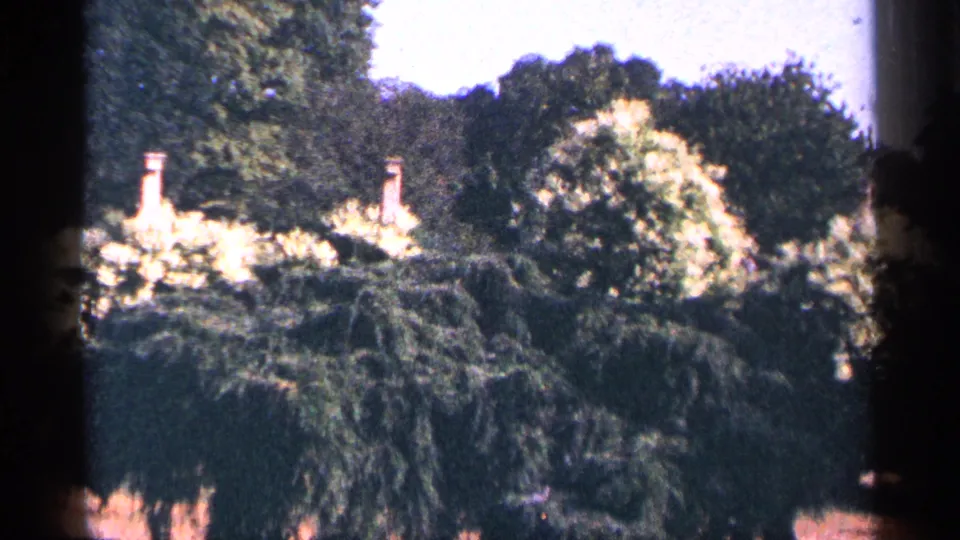 A 1964 8mm park-garden view in New York City shows layered foliage, pale vertical monument or fence-like details, and bright plantings in soft focus.