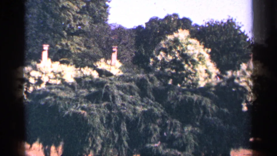 1964 New York City home-movie frame of sunlit trees, pale flowering shrubs, and brick chimneys partly hidden by garden foliage.